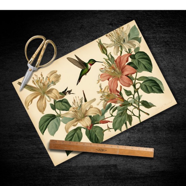 Vintage Honeysuckle und Hummingbird Decoupage Seidenpapier (Von Creator hochgeladen)