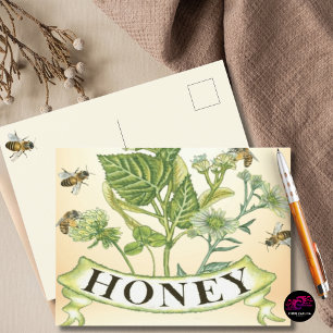 Vintage-Honigbiene-Botanik-Illustration Postkarte