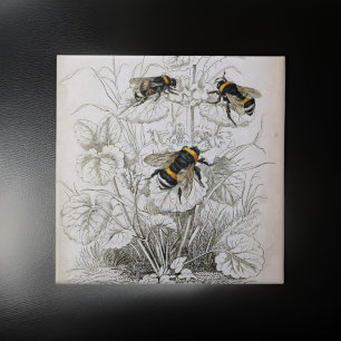 Vintage-Honigbiene-Illustration Fliese
