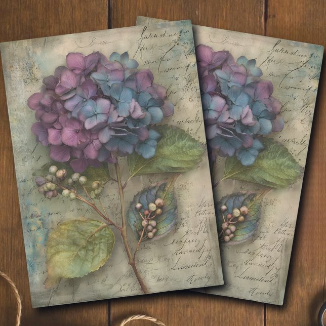 Vintage-Hortensien-Botanik-Decoupage Seidenpapier (Von Creator hochgeladen)