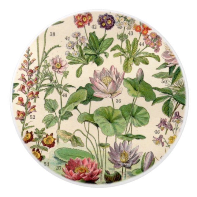 Vintage Hübsche botanische Blume Keramikknauf (Vorderseite)