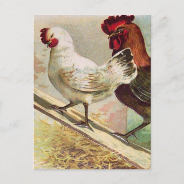 Vintage Hühner aus der Vintagen Ostern Postkarte (Vorderseite)