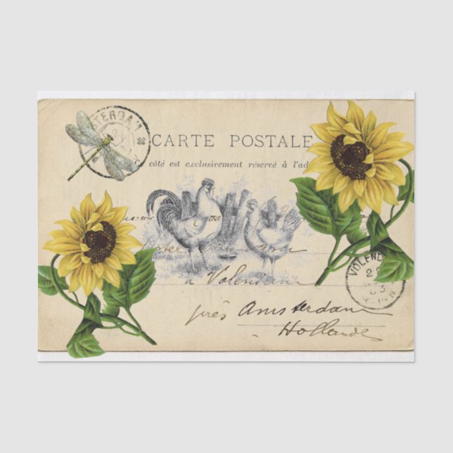 Vintage Hühner Sonnenblumen Postkartenpapier Seidenpapier (Vorderseite)