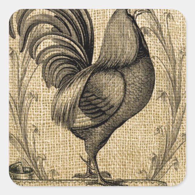 Vintage Hühnerburlap Quadratischer Aufkleber (Vorderseite)