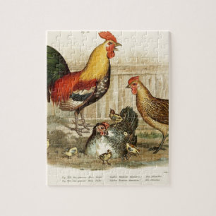 Vintage-Hühnerfamilien-Illustration