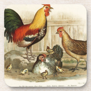 Vintage-Hühnerfamilien-Illustration Untersetzer