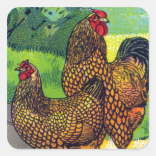 Vintage HühnerPrint Quadratischer Aufkleber