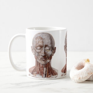 Vintage Humananatomie Wissenschaft, Kopf Kehle Nas Kaffeetasse