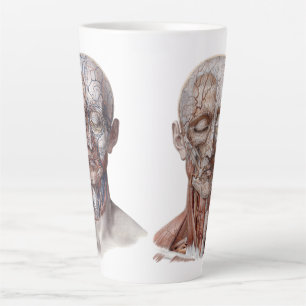 Vintage Humananatomie Wissenschaft, Kopf Kehle Nas Milchtasse