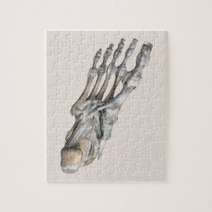 Vintage Humananatomie Wissenschaft, Skelettfüße