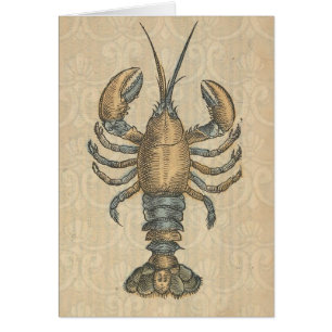 Vintage-Hummer-Illustration: Küsten-Damaskus