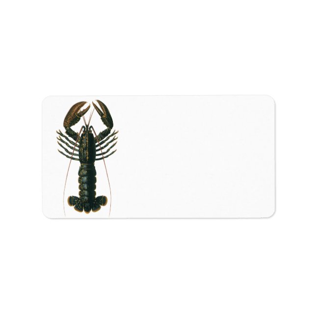 Vintage Hummer, marines Leben Adressaufkleber (Vorne)
