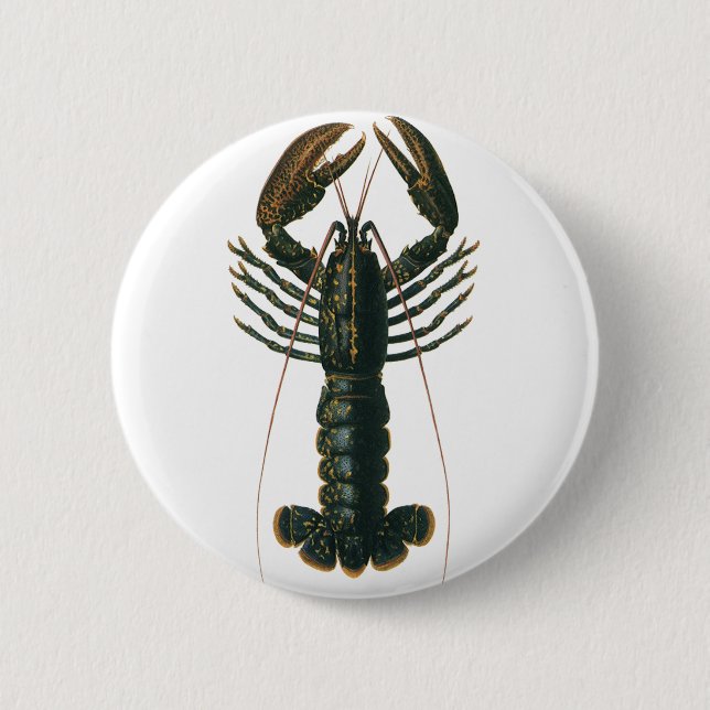 Vintage Hummer, marines Leben Button (Vorderseite)