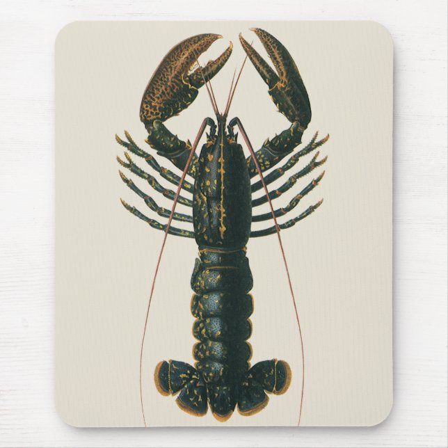 Vintage Hummer, marines Leben Mousepad (Vorne)