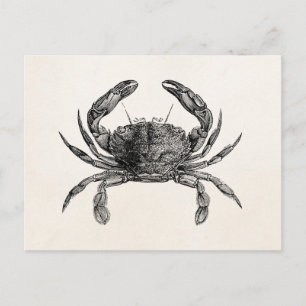 Vintage-Hummer-personalisierte Schablone Postkarte
