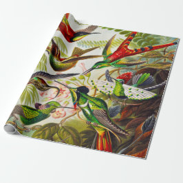 Vintage Hummingbirds von Ernst Haeckel Geschenkpapier