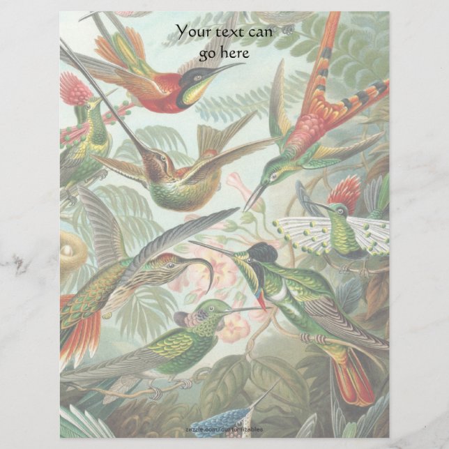 Vintage Hummingvögel (Vorderseite)