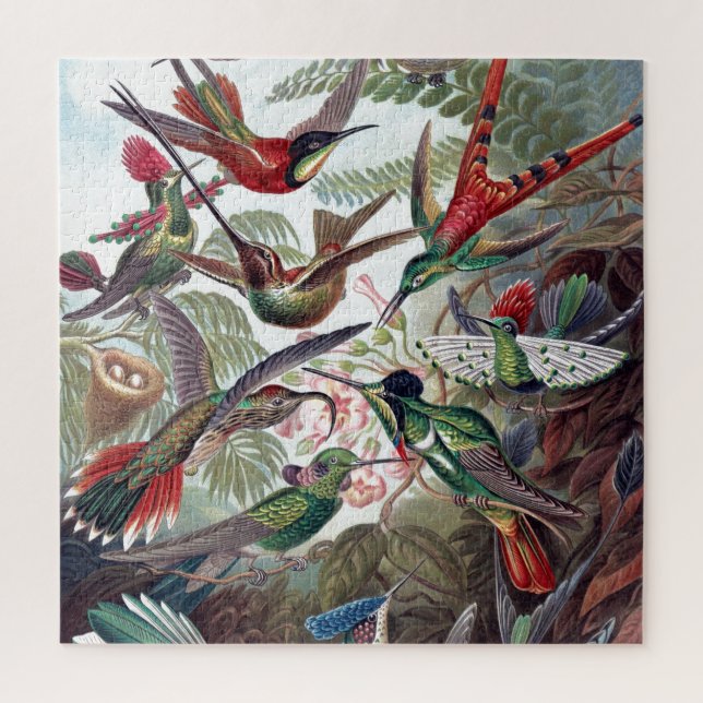 Vintage Hummingvögel Altes Buch Illustration Kunst (Vertikal)