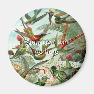 Vintage Hummingvögel Magnet