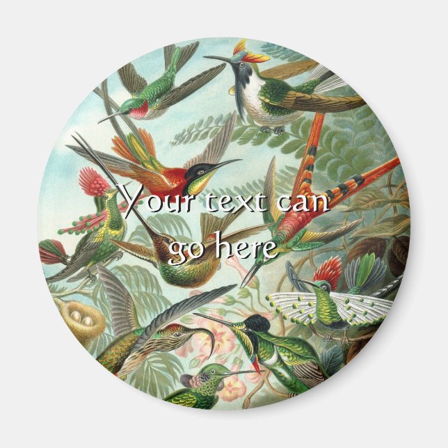 Vintage Hummingvögel Magnet (Vorne)