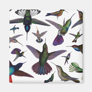Vintage Hummingvögel Magnet