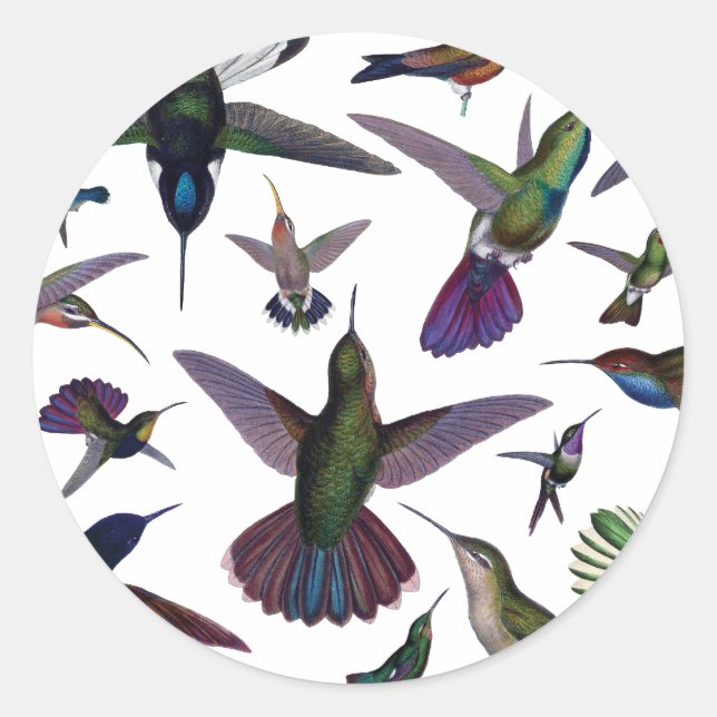 Vintage Hummingvögel Runder Aufkleber (Vorderseite)