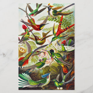 Vintage Hummingvögel von Ernst Haeckel