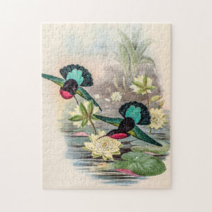 Vintage Hummingvögel von John Gould
