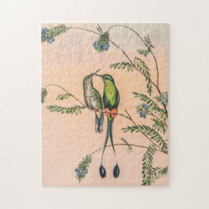 Vintage Hummingvögel von John Gould