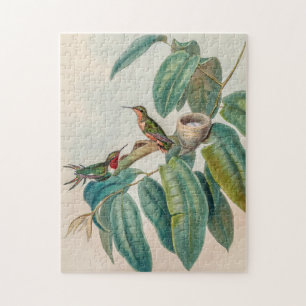 Vintage Hummingvögel von John Gould