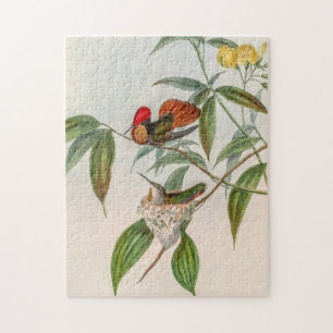 Vintage Hummingvögel von John Gould