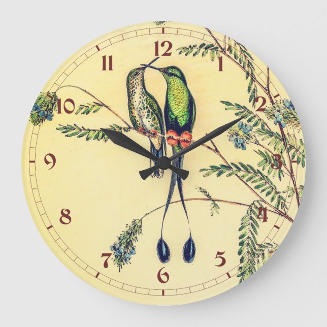 Vintage Hummingvögel von John Gould Große Wanduhr (Vorderseite)