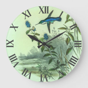Vintage Hummingvögel von John Gould Große Wanduhr