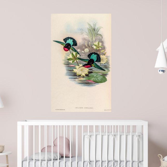 Vintage Hummingvögel von John Gould Poster (Kinderzimmer 2)