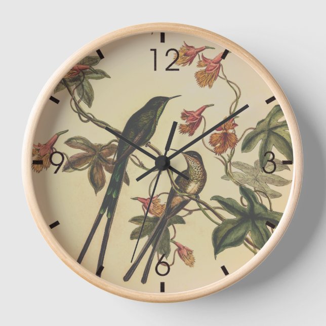 Vintage Hummingvögel von John Gould Uhr (Vorderseite)