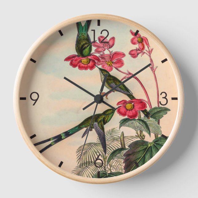 Vintage Hummingvögel von John Gould Uhr (Vorderseite)