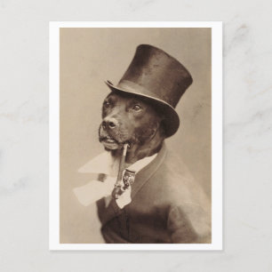 Vintage-Hund mit Zylinder und Pfeife Foto Postkarte