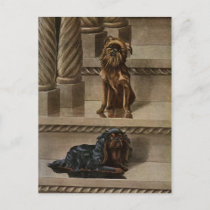 Vintage Hunde auf einer Treppe Postkarte