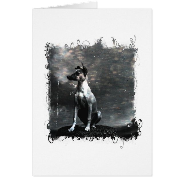 Vintage Hunde-Jeden Anlaß (Vorne)