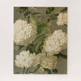 Vintage Hydrangeas