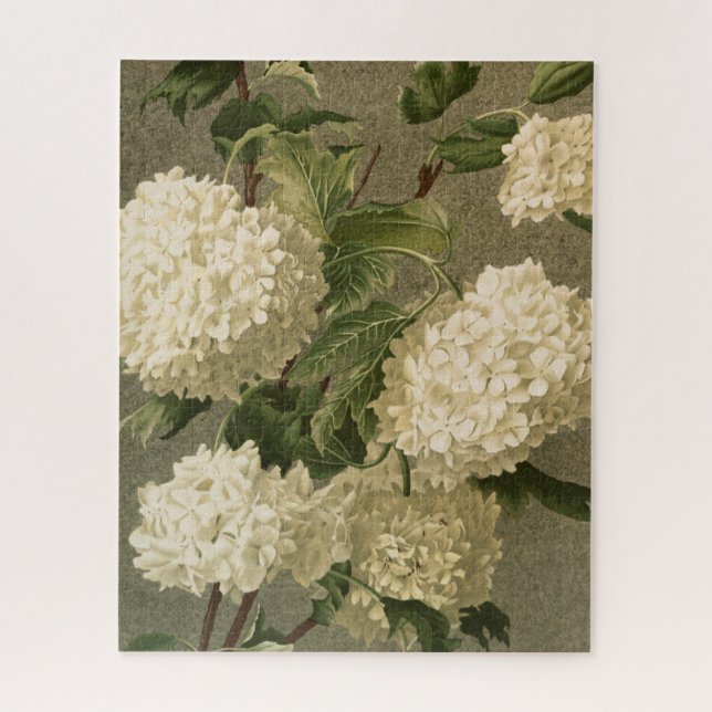 Vintage Hydrangeas (Vertikal)