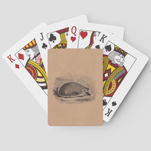 Vintage Igel 1800s Igels-Illustration Spielkarten (Rückseite)
