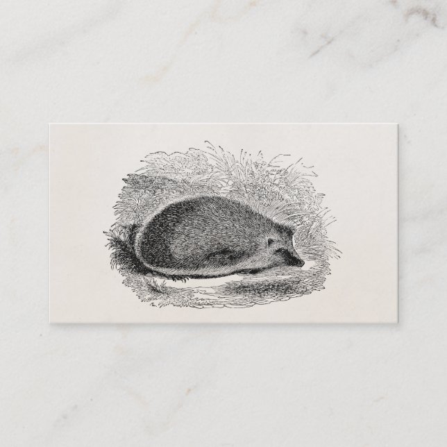 Vintage Igel 1800s Igels-Illustration Visitenkarte (Vorderseite)