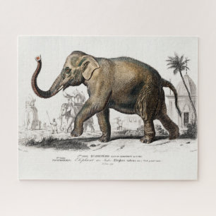Vintage Illustration der asiatischen Elefanten aus