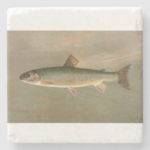 Vintage Illustration der Bachforelle Steinuntersetzer