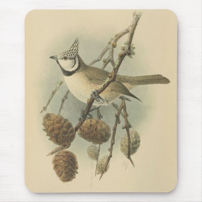 Vintage Illustration der europäischen Crested Tit Mousepad (Vorne)