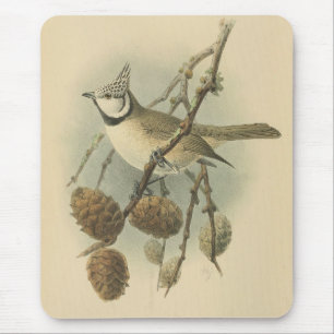 Vintage-Illustration der Haubenmeise Mousepad