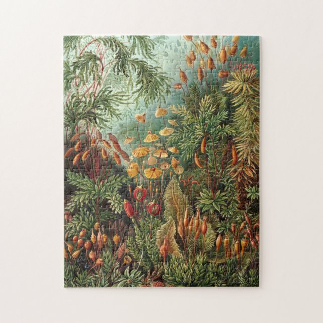 Vintage Illustration der Pflanzen/Mushrooms (Vertikal)