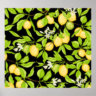 Vintage Illustration der Zweigstelle Lemon Tree Poster