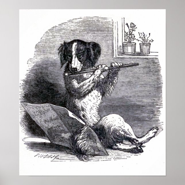 Vintage Illustration "Dog Playing the Flute" Poster (Vorne)